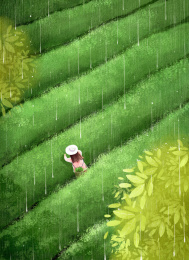 下雨在茶园里采摘嫩绿茶叶