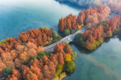 杭州西湖杨公堤秋色