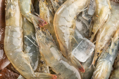 新鲜的淡水养殖基围虾对虾