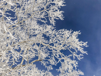 中国黑龙江哈尔滨亚布力滑雪旅游度假区雾凇