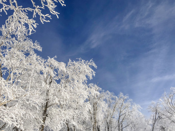中国黑龙江哈尔滨亚布力滑雪旅游度假区雾凇