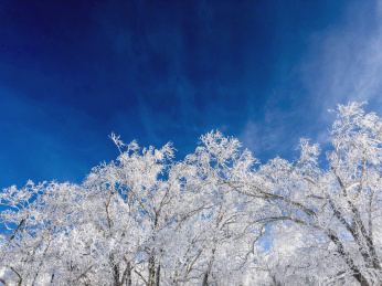 中国黑龙江哈尔滨亚布力滑雪旅游度假区雾凇