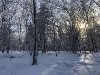 中国黑龙江哈尔滨亚布力滑雪旅游度假区风光