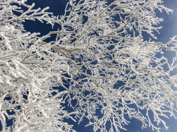 中国黑龙江哈尔滨亚布力滑雪旅游度假区雾凇