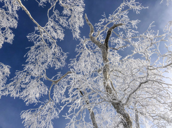 中国黑龙江哈尔滨亚布力滑雪旅游度假区雾凇