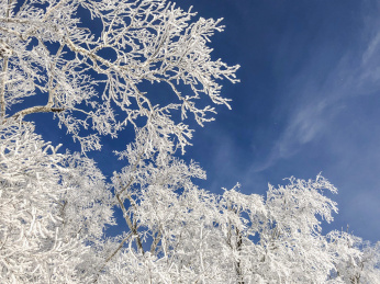 中国黑龙江哈尔滨亚布力滑雪旅游度假区雾凇