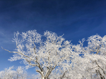 中国黑龙江哈尔滨亚布力滑雪旅游度假区雾凇