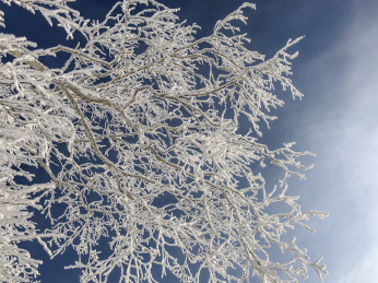 中国黑龙江哈尔滨亚布力滑雪旅游度假区雾凇