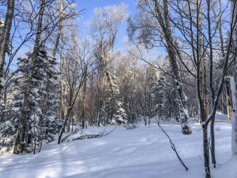 中国黑龙江哈尔滨亚布力滑雪旅游度假区风光