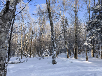 中国黑龙江哈尔滨亚布力滑雪旅游度假区风光