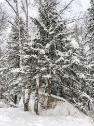 中国黑龙江哈尔滨亚布力滑雪旅游度假区雪乡风光