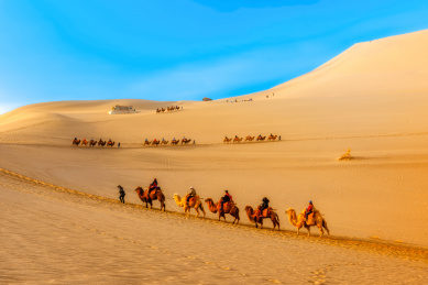 中国甘肃酒泉敦煌鸣沙山月牙泉景区,在沙漠沙山上骑行的骆驼队