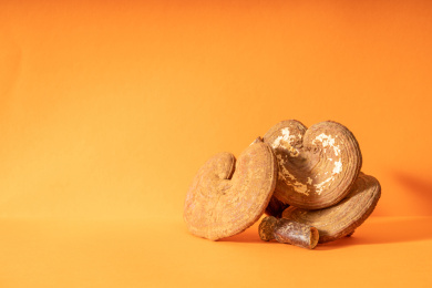 纯色背景下摆放着多个中草药灵芝