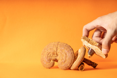 纯色背景下摆放着多个中草药灵芝