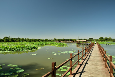 河北省保定市安新县白洋淀