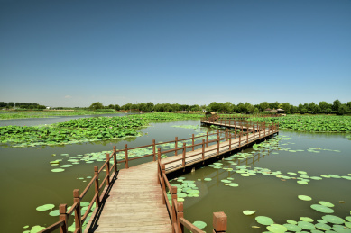 河北省保定市安新县白洋淀