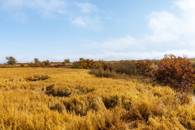 黑龙江牡丹江镜泊湖火山熔岩台地稻田