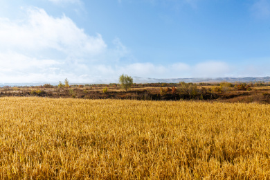黑龙江牡丹江镜泊湖火山熔岩台地稻田