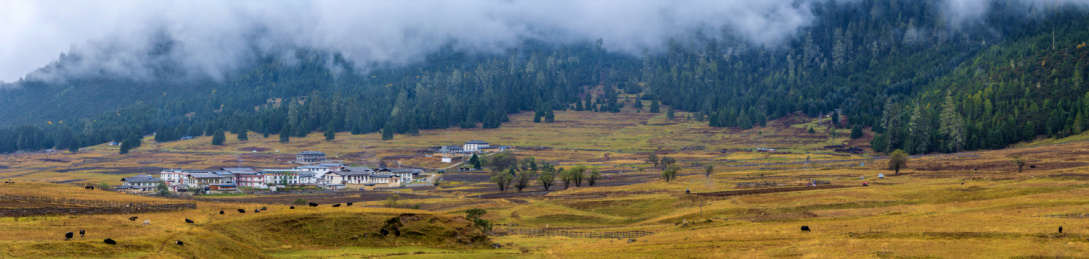 中国西藏林芝鲁朗扎西岗村秋景