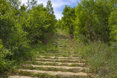 中国大兴安岭森林中长满小草的台阶
