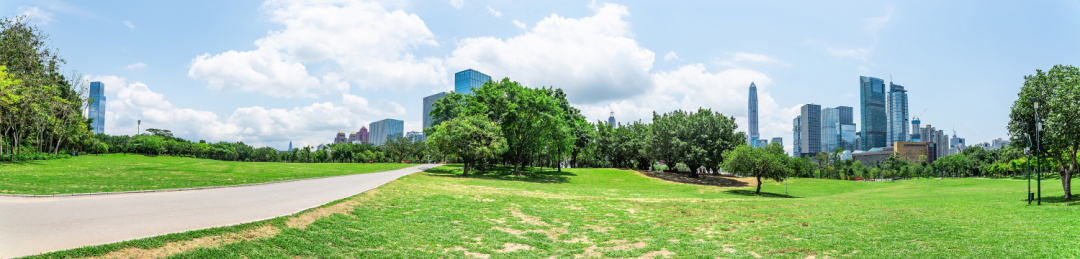 深圳莲花山公园全景图风光