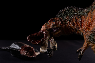 高棘龙及其猎物