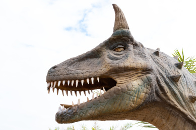 恐龙头部 动物 恐龙