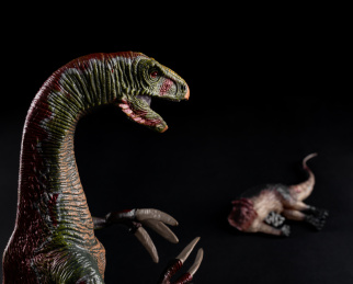 恐爪龙及其猎物