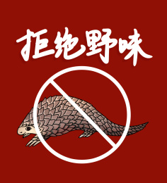 拒绝吃野味穿山甲手绘插画图