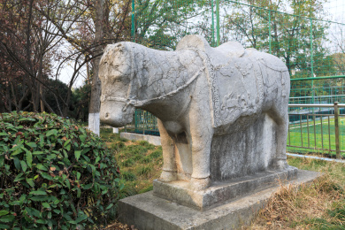 古代马雕塑，中国江苏省南京市白马公园