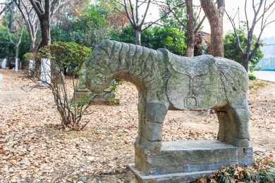 古代石马雕塑，中国江苏省南京市白马公园