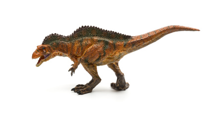 高棘龙模型 动物 恐龙