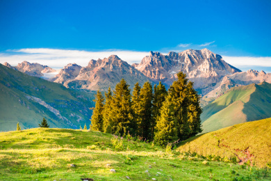 中国新疆唐布拉草原高山牧场