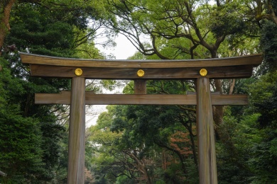 日本东京明治神宫入口大鸟居