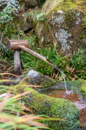 植物与岩石间的日本传统庭院内蹲踞洗手池