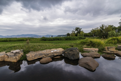 云南大理下关洱海湿地公园风光