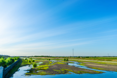 中国东北冬季户外松柏