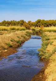 内蒙额济纳旗秋天沙漠风光