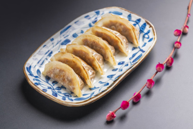 一盘煎饺锅贴特写