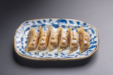 一盘煎饺锅贴特写