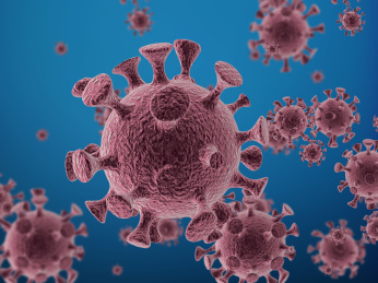 显微镜下的冠状病毒