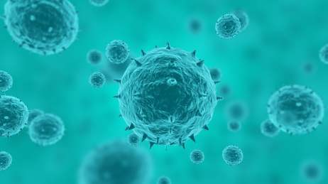 显微镜下的冠状病毒