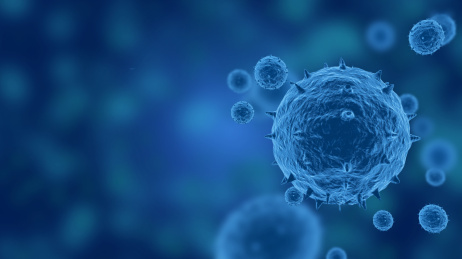 显微镜下的冠状病毒