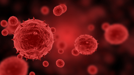 显微镜下的冠状病毒