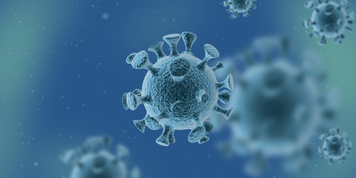 显微镜下的冠状病毒