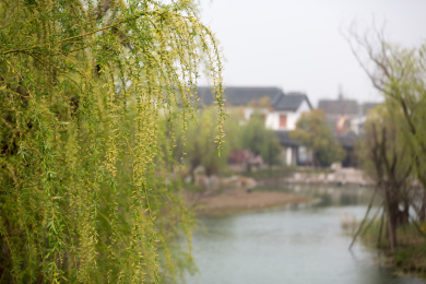 中国江苏省苏州太湖园博园春天景色