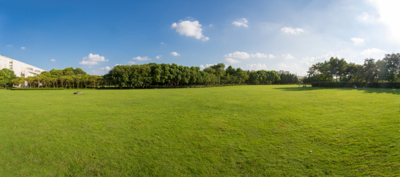 全景草坪 草原 牧场