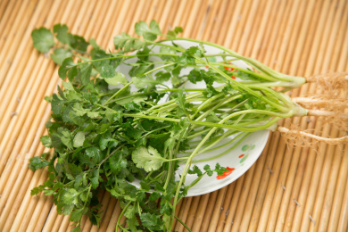 一盘新鲜的香菜