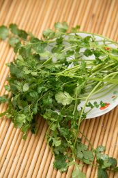 一盘新鲜的香菜