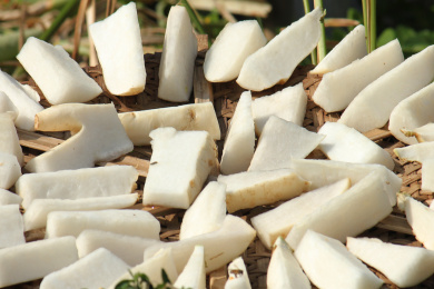 农家晾晒自制的白萝卜干